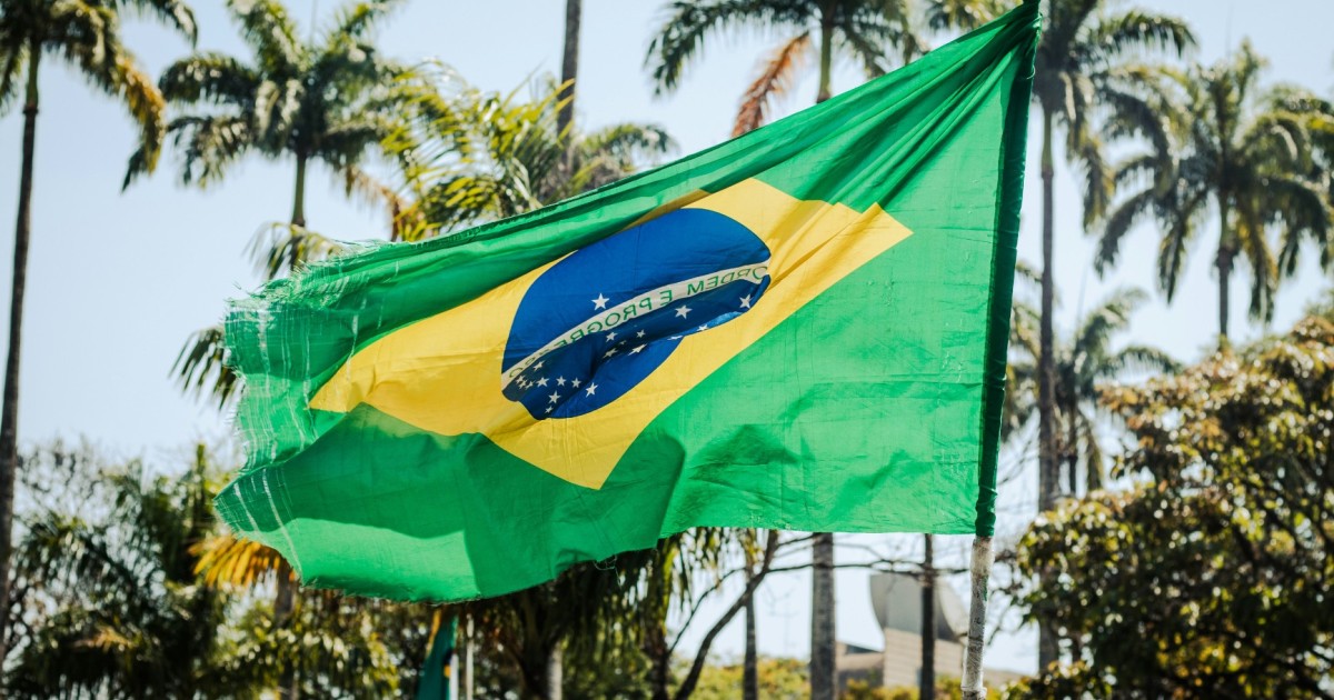 Bolsonaro : indifférence ou stratégie du chaos ? | terra nova