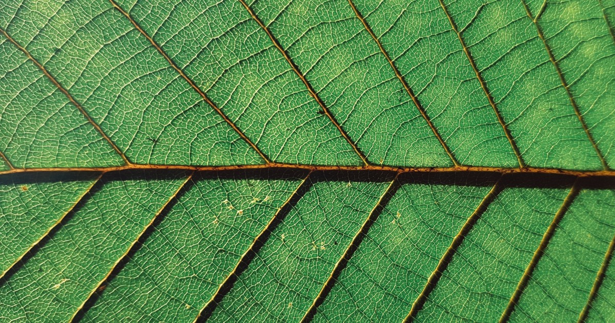 Crise économique et écologique : osons des décisions de rupture | terra nova