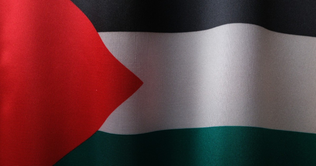 Palestine : un nouveau statut, un futur etat ? | terra nova