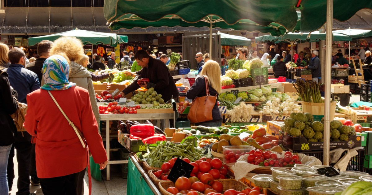 Alimentation | Terra Nova