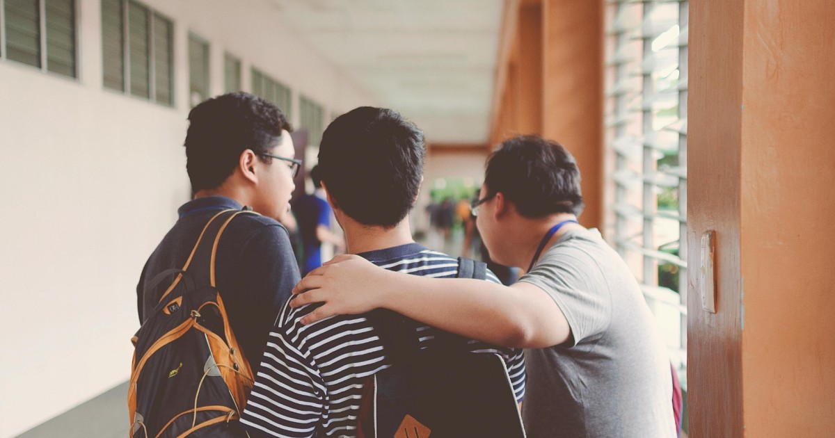 Faire réussir nos étudiants, faire progresser la france | terra nova