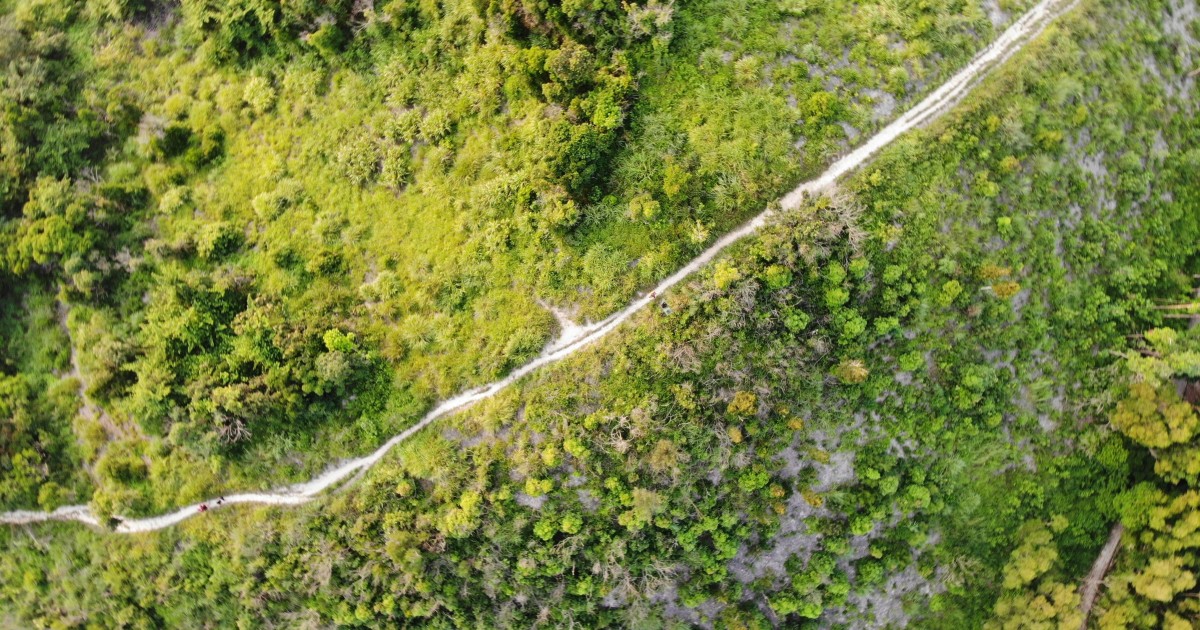 Pour une politique du carbone vivant | terra nova