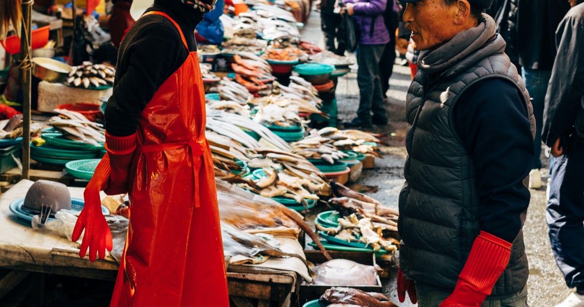 What kind of global governance could improve the fight against zoonotic pandemics ? | terra nova