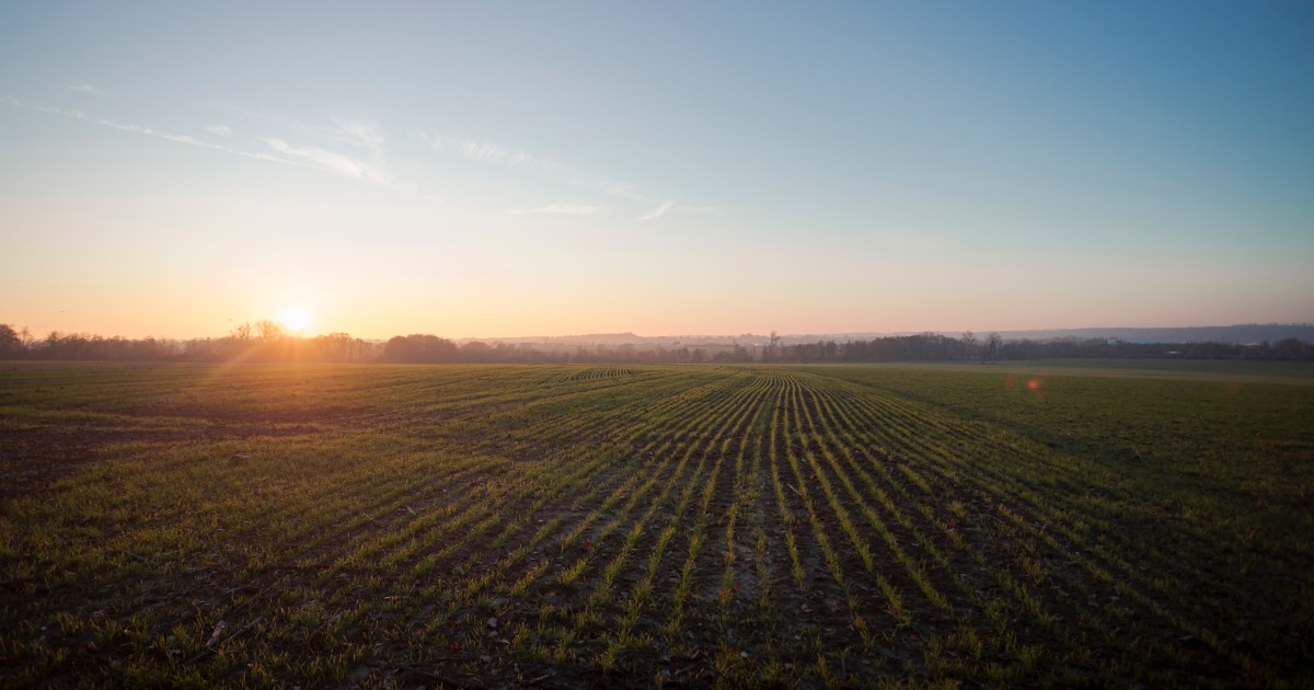 Réaction d’engie à la note terra nova « développement du gaz renouvelable : pour une perspective agroécologique » | terra nova