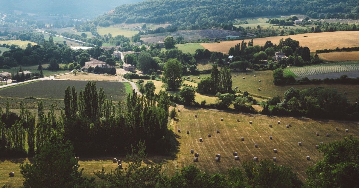 Baromètre des résultats de l’action publique : la france de la fibre optique | terra nova