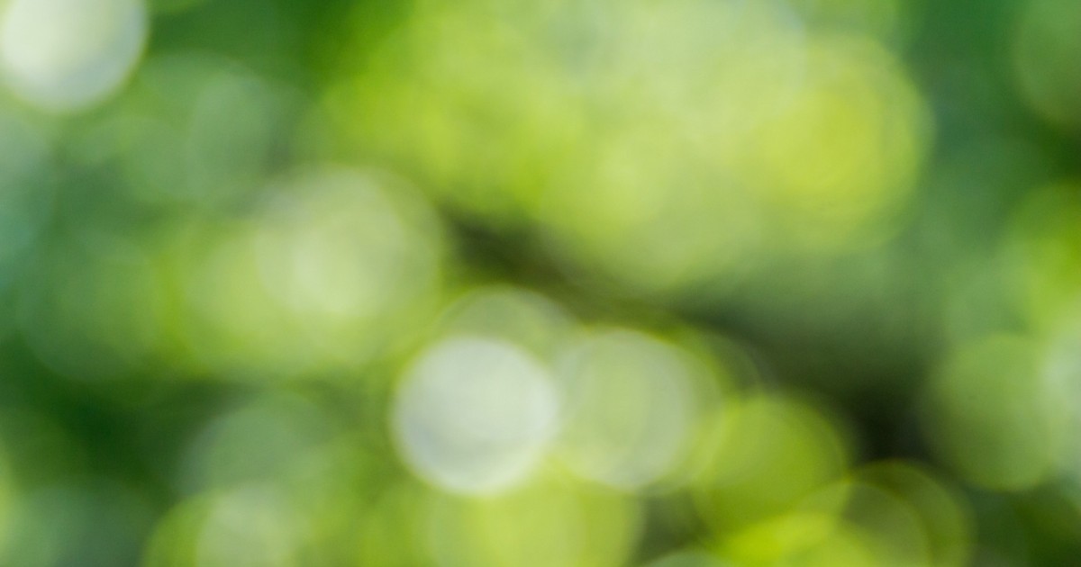 Gouverner la transition écologique | terra nova