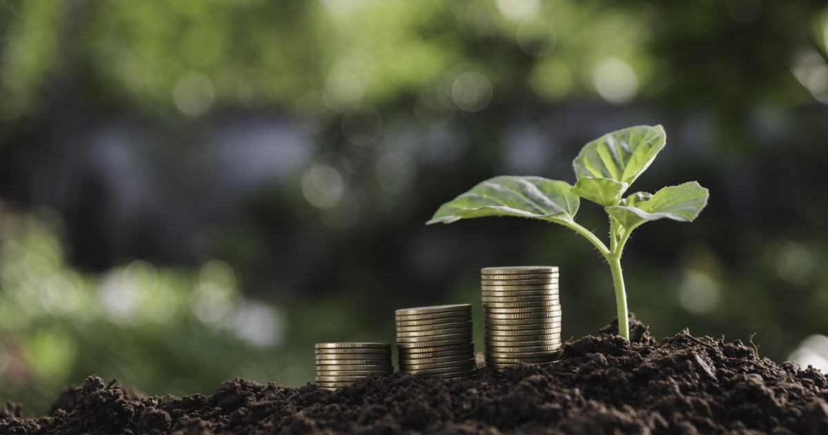 Finance durable : un enjeu essentiel pour la transition écologique, bilan du quinquennat et perspectives | terra nova