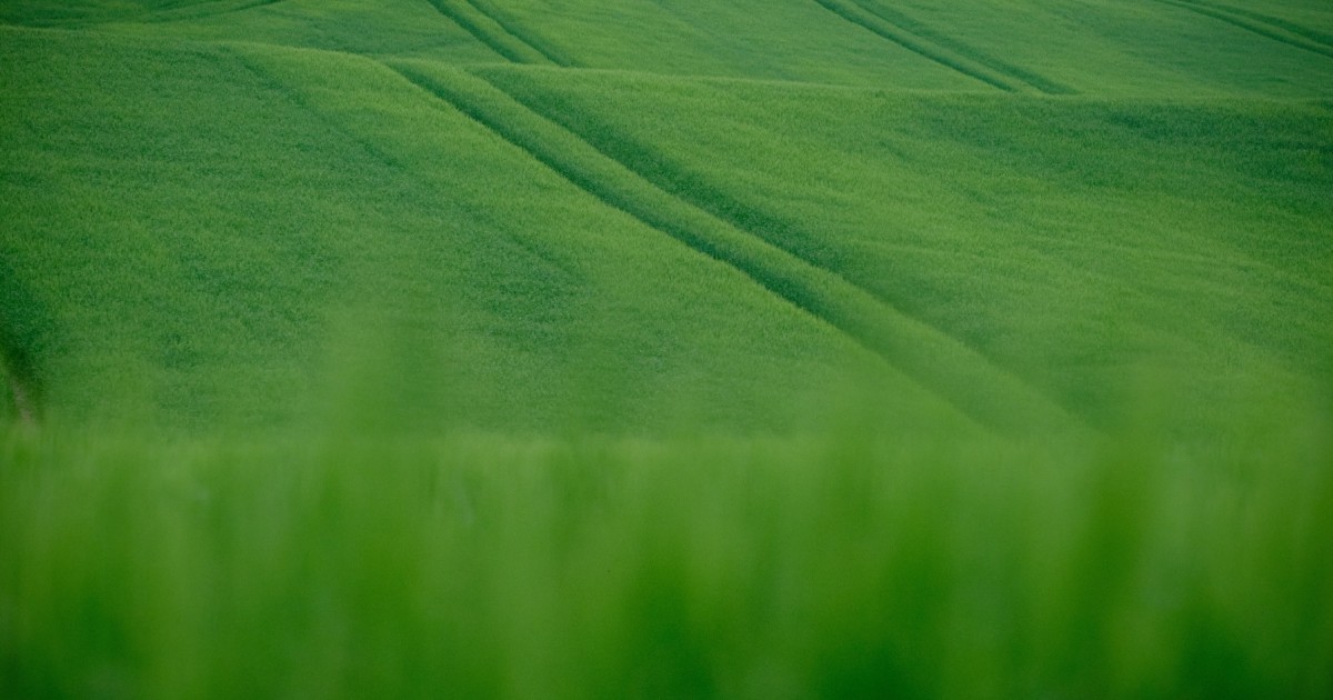 feature-image