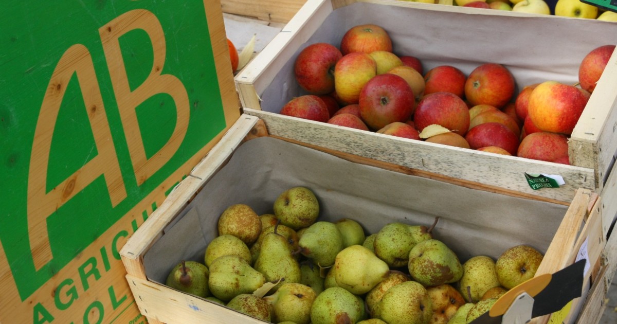 Le bio en baisse : simple ralentissement ou véritable décrochage ? | terra nova