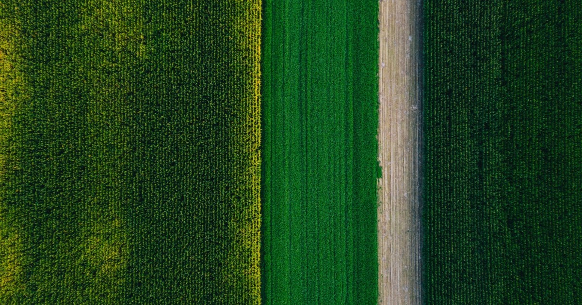 Climat : que va choisir l’europe ? | terra nova