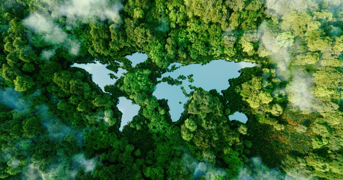 Climat et commerce : pour un multilatéralisme en commun | terra nova