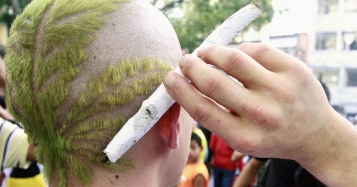 Légalisation du cannabis : les oublis et approximations du rapport choc de terra nova | terra nova