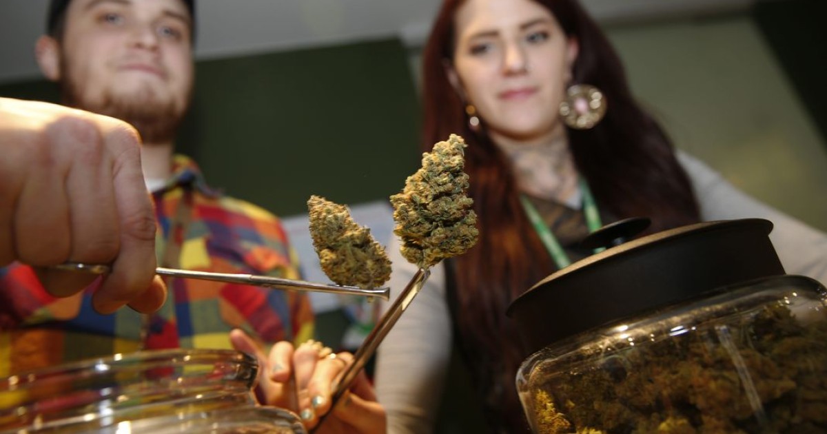 « depuis un an, le colorado réglemente la marijuana comme l’alcool et s’en félicite » par corine lesnes | terra nova